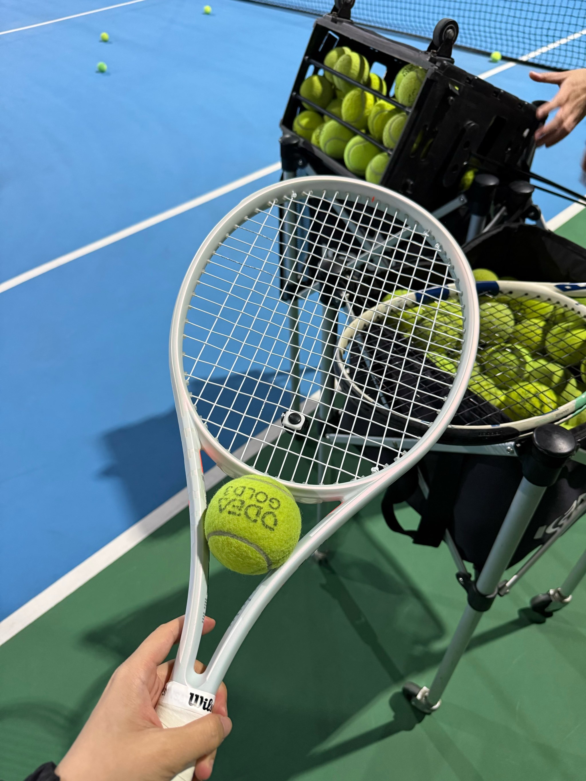 如果76人 如果76人