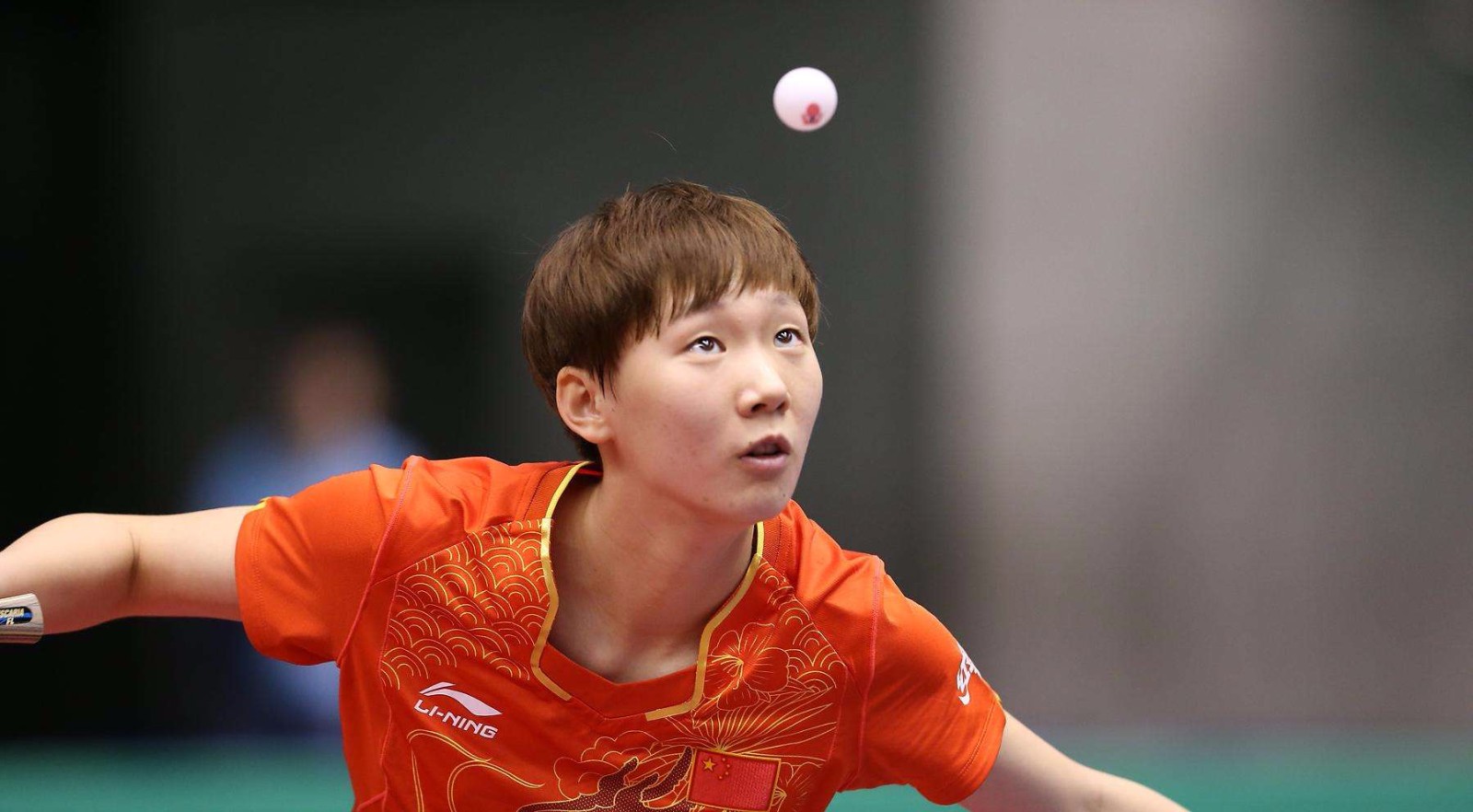 的底层逻辑 的底层逻辑